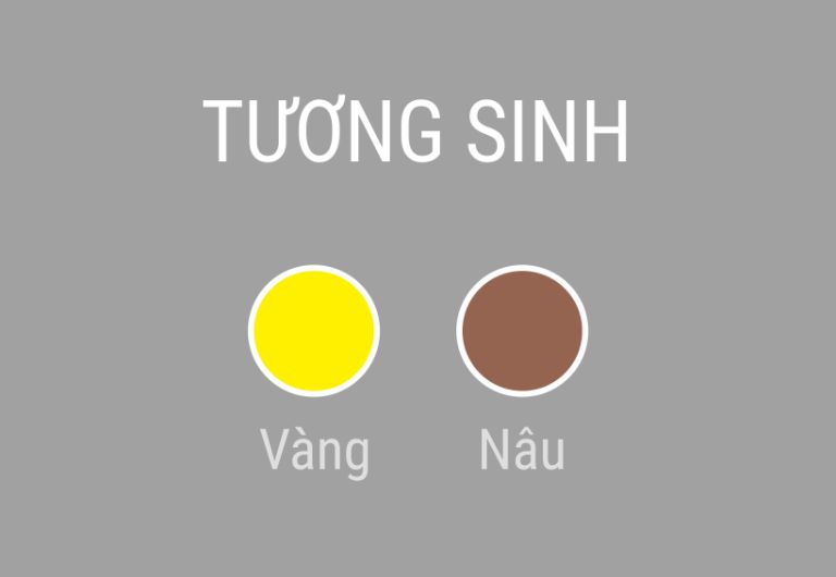 Theo đó, những người mạng Kim rất phù hợp với màu hành thổ như màu vàng nâu và màu vàng.