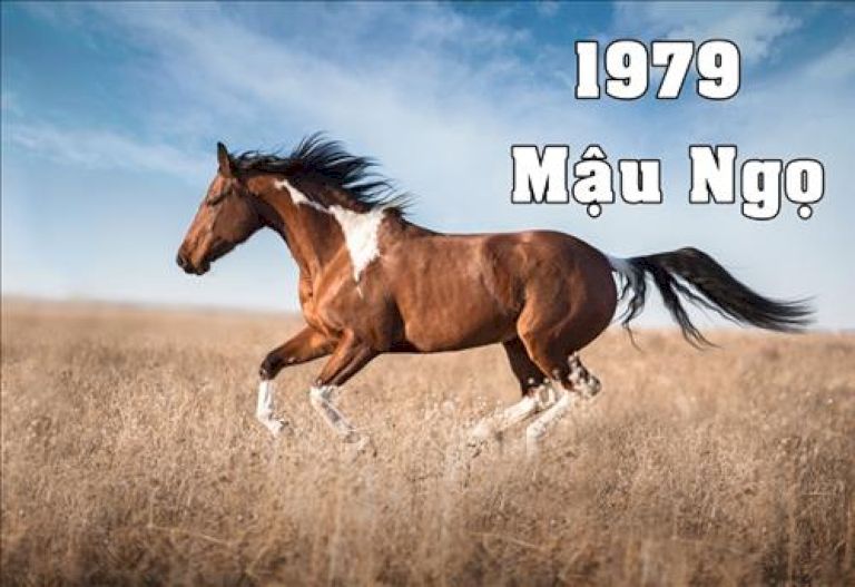 Những người sinh năm 1978 cầm tinh con Ngựa thuộc năm Mậu Ngọ (Ngựa trong chuồng)